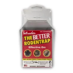 Intruder Snap Trap For Rodents 1 pk (Pack of 6)