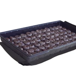 Jiffy Plastic Planting Tray 11 x 22 in. (Pack of 50)