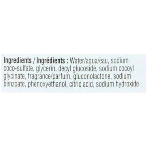 J.R. Watkins Lavender Scent Foam Hand Soap 9 (Pack of 6)