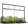 Jump Start Grow Light System with timer, 4-Ft.