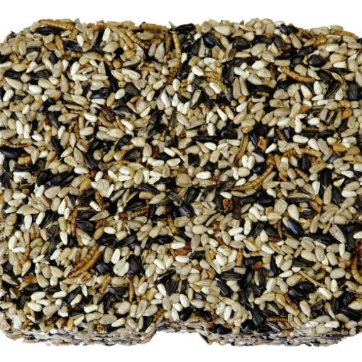 Kaytee Assorted Species Seed and Mealworm Seed Cake 1.4 lb