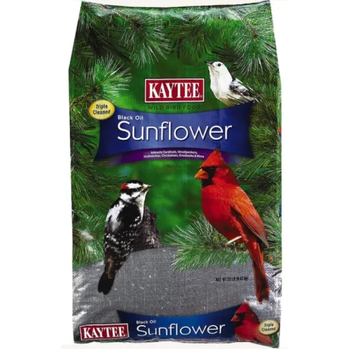 Kaytee Black Oil Sunflower Assorted Species Black Oil Sunflower Wild Bird Food Black Oil Sunflower Seed