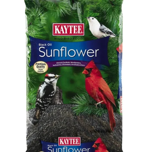 Kaytee Black Oil Sunflower Songbird Black Oil Sunflower Wild Bird Food Black Oil Sunflower Seed