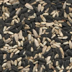 Kaytee Cardinal Black Oil Sunflower Seed Wild Bird Food 15 lb