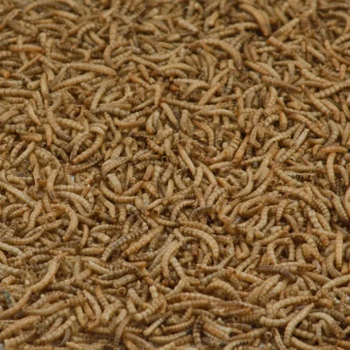 Kaytee Mealworms Wild Bird/Poultry Dried Mealworm Mealworms 32 oz
