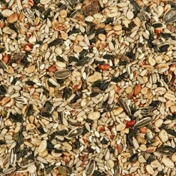 Kaytee Nut & Fruit Blend Songbird Nut & Fruit Wild Bird Food 5 lb (Pack of 6)