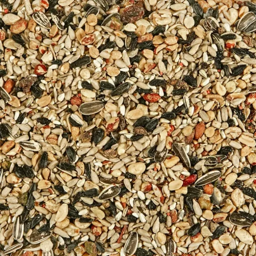 Kaytee Nut & Fruit Blend Songbird Nut & Fruit Wild Bird Food 5 lb (Pack of 6)