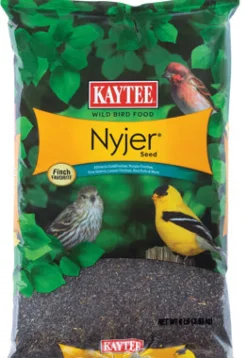 Kaytee Nyjer Songbird Niger Seed Wild Bird Food 8 lb