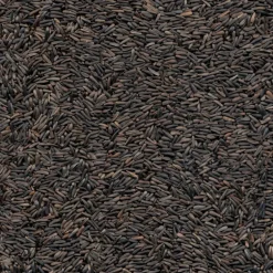 Kaytee Nyjer Songbird Niger Seed Wild Bird Food 8 lb