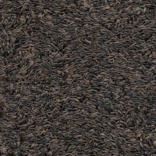 Kaytee Nyjer Songbird Niger Seed Wild Bird Food 8 lb