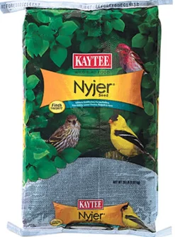 Kaytee Nyjer Songbird Nyger Thistle Seed Wild Bird Food 20 lb