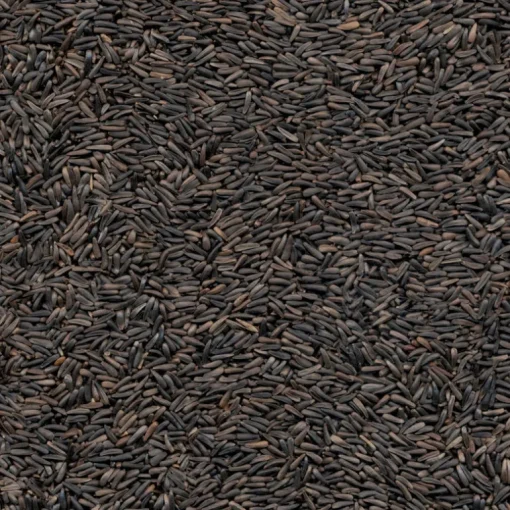 Kaytee Nyjer Songbird Nyjer Seed Wild Bird Food 4.65 lb