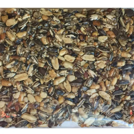 Kaytee Songbird Shelled Peanuts Mixed Nut Cake 2.13 lb