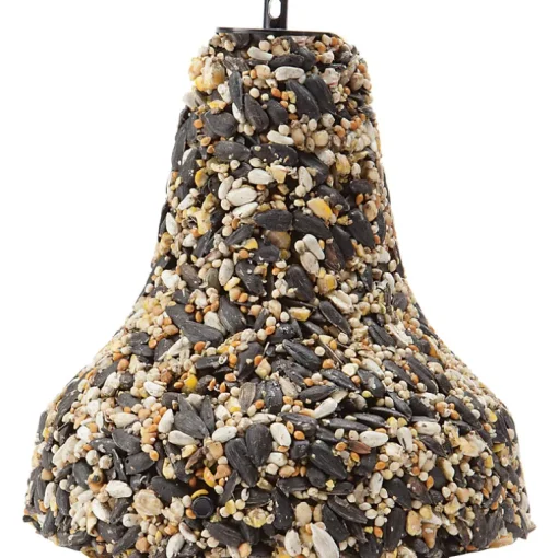 Kaytee Songbird Sunflower Seeds Seed Bell 13 oz