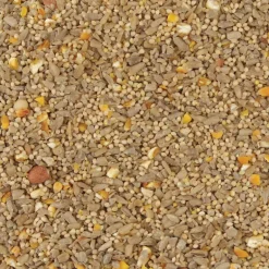 Kaytee Waste Free Songbird Hulled Sunflower Seed Concentrated Wild Bird Food 10 lbs.