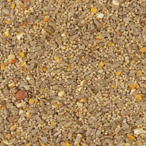 Kaytee Waste Free Songbird Hulled Sunflower Seed Concentrated Wild Bird Food 10 lbs.
