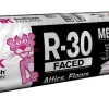 Knauf Eco Touch 16 in. W X 48 in. L X 10 in. 30 Kraft Faced Fiberglass Insulation Batt 69.33 sq ft