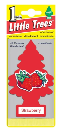 Little Trees Car Air Freshener 1 pk (Pack of 24)