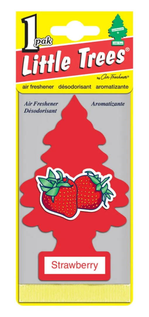 Little Trees Car Air Freshener 1 pk (Pack of 24)