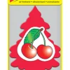 Little Trees Car Air Freshener 1 pk (Pack of 24)