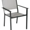 Living Accents Black Aluminum Frame Sling Chair