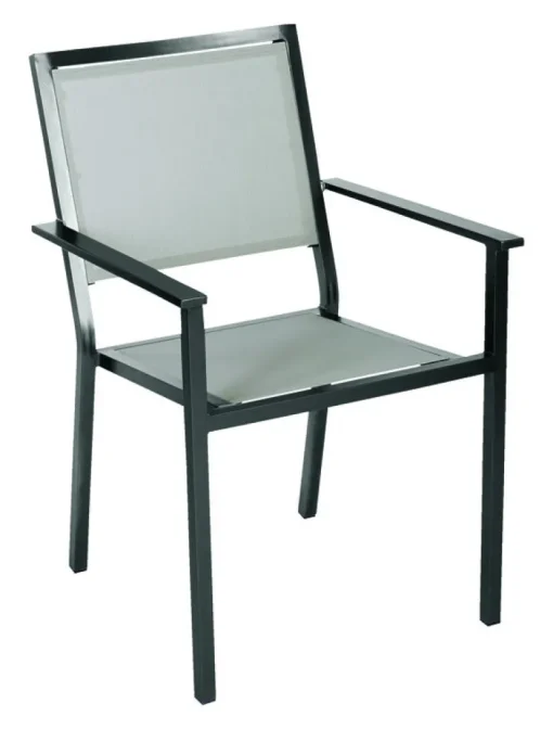 Living Accents Black Aluminum Frame Sling Chair