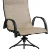 Living Accents Black Steel Frame Swivel Chair