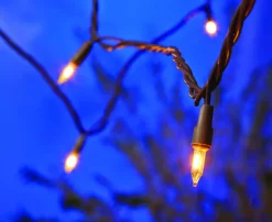 Living Accents Mini Light Set 49.6 ft.