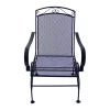 Living Accents Winston Black Steel Frame Spring Dining Chair (Pack of 2)