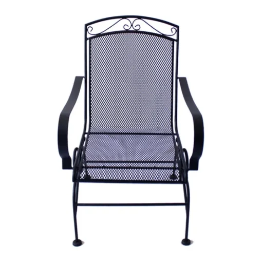 Living Accents Winston Black Steel Frame Spring Dining Chair (Pack of 2)