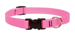 LupinePet Basic Solids Pink Pink Nylon Dog Adjustable Collar