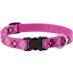 LupinePet Original Designs Multicolor Puppy Love Nylon Dog Adjustable Collar