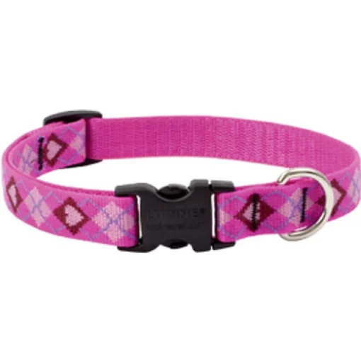 LupinePet Original Designs Multicolor Puppy Love Nylon Dog Adjustable Collar