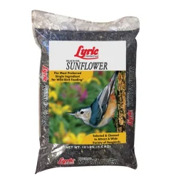 Lyric Assorted Species Wild Bird Food Black Oil Sunflower Seed 10 lb.