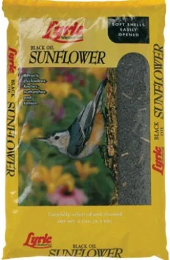 Lyric Black Oil Sunflower Seed 50 Lbs.