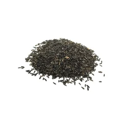 Lyric Finch Nyjer Seed Wild Bird Food 10 lb