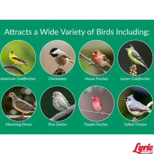 Lyric Finch Nyjer Seed Wild Bird Food 10 lb