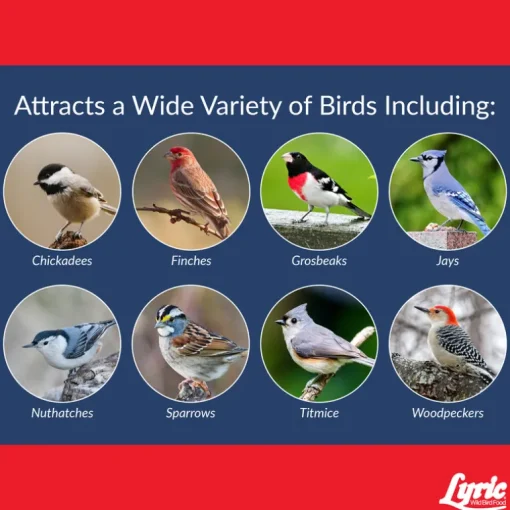 Lyric Supreme Assorted Species Sunflower Seeds Wild Bird Food 40 lb