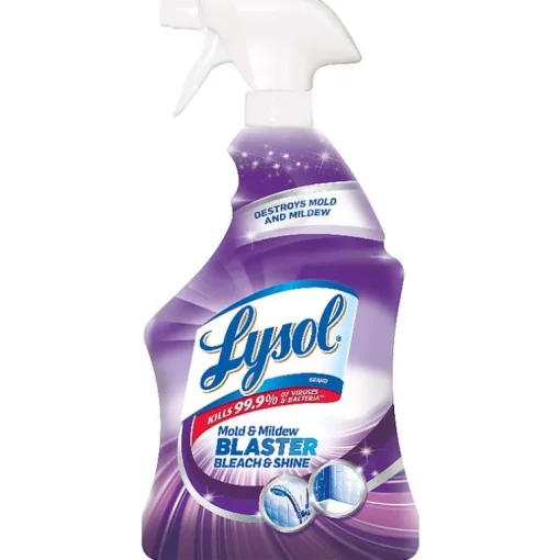 Lysol Mold and Mildew Stain Remover 32 oz. (Pack of 12)