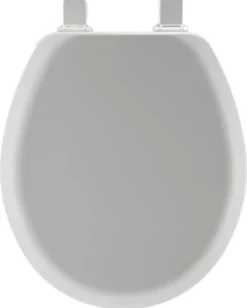 Mayfair by Bemis Cameron Round Silver Enameled Wood Toilet Seat