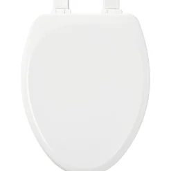 Mayfair Slow Close Elongated White Molded Wood Toilet Seat