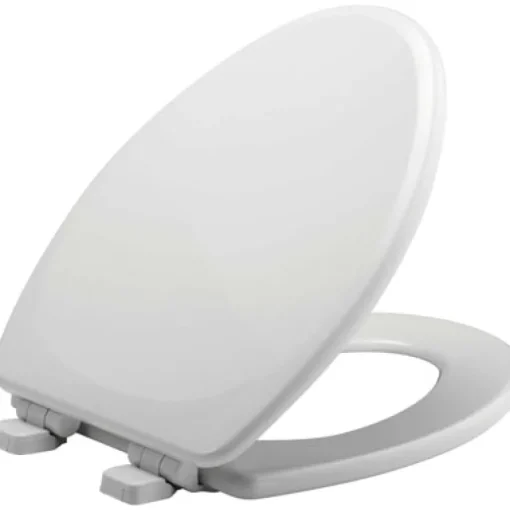 Mayfair Slow Close Elongated White Molded Wood Toilet Seat