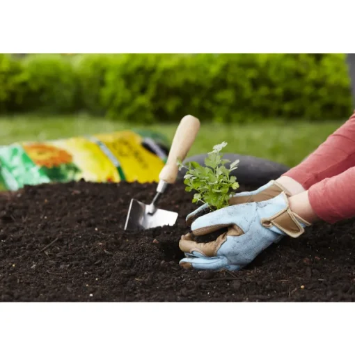 Miracle Gro 70551430 1 Cubic Foot All Purpose Garden Soil (Pack of 60)