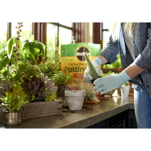 Miracle-Gro Cacti, Citrus and Palm Potting Mix 8 qt