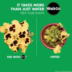 Miracle-Gro Granules Plant Food 5.5 lb