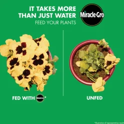 Miracle-Gro Indoor/Outdoor All Purpose 12-9-6 Plant Food Liquid 2-16 oz.