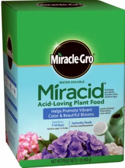 Miracle-Gro Miracid Powder Azalea, Camellia, Gardenia, Hibiscus, Holly, Hydrangea, and Orchids Plant