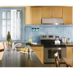 Moen Renzo One Handle White Pull-Out Kitchen Faucet