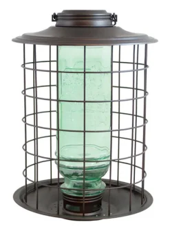 More Birds Caged Songbird Vintage Wild Bird 1-1/2 lb. Metal Caged Tube Seed Feeder