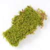 MOSS SHEET 125 SQ IN